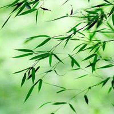 敢达决战手游果盘版下载