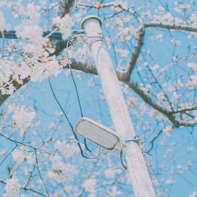 吉祥捕鱼官方版下载